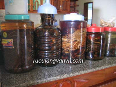Cách bảo quản rượu thuốc