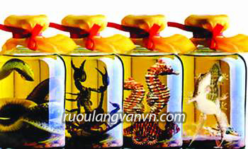 tìm hiểu thêm về rượu thuốc