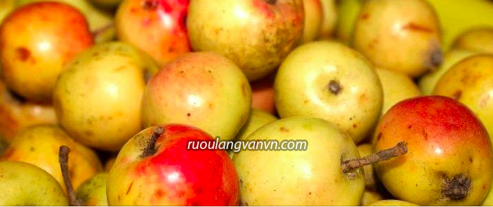 Táo mèo loại giòn