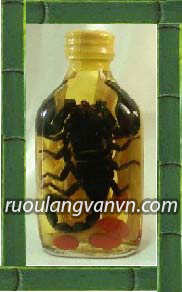 cách ngâm rượu bò cạp