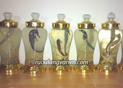 Rượu cá ngựa ngâm