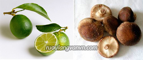 công dụng chữa bệnh của nấm hương và chanh ngâm rượu