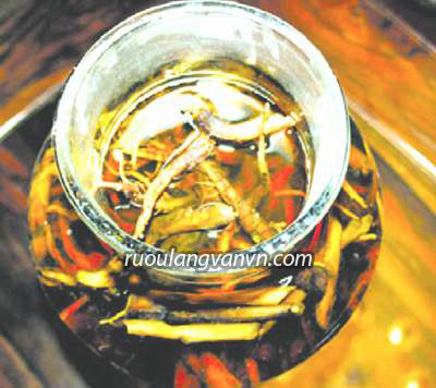 Rượu ngâm cây thuốc phiện không có tác dụng bổ dương