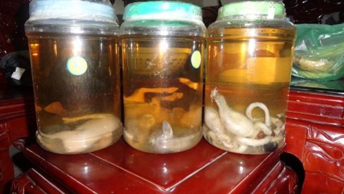Rượu ngọc dương