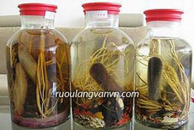 Tác dụng bổ dương của rượu nhung hươu