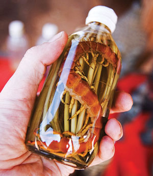 rượu ngâm rết