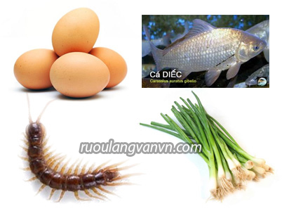 Rượu thuốc chữa cảm lạnh