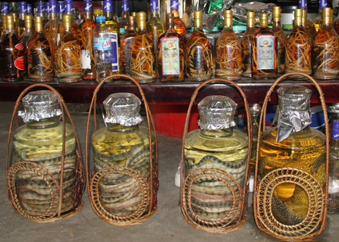 Rượu thuốc quý