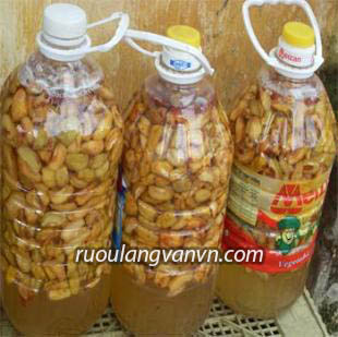 Táo mèo ngâm rượu